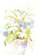 Watercolor - Daisies
